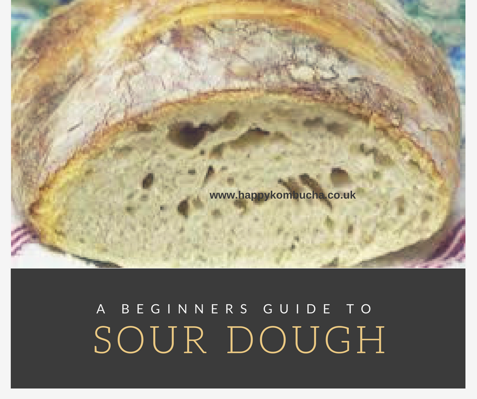 The Sourdough Revolution: A Beginner's Sourdough Recipe and a