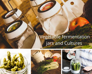 vegetable fermentation -happykombucha