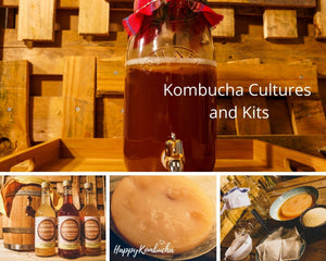 kombucha cultures and kits-happykombucha
