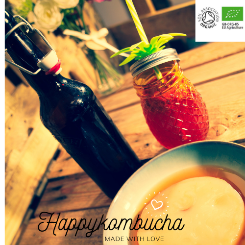 Organic Certified Heirloom Viennese Kombucha scoby freeshipping - Happy Kombucha