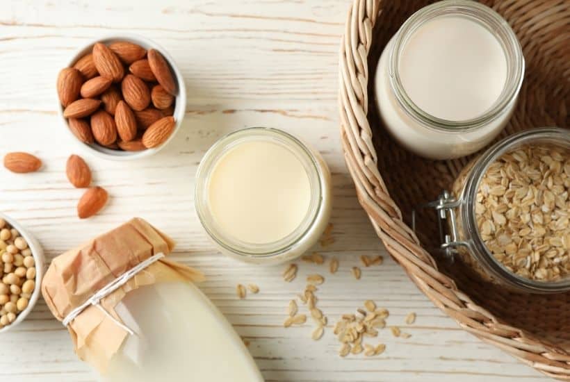 Non-Dairy Kefir