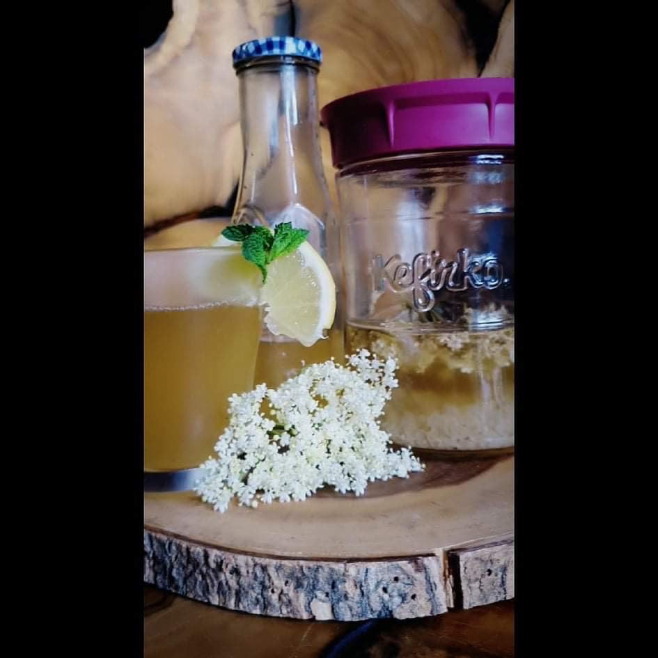 Elderflower and ginger water kefir Happy Kombucha