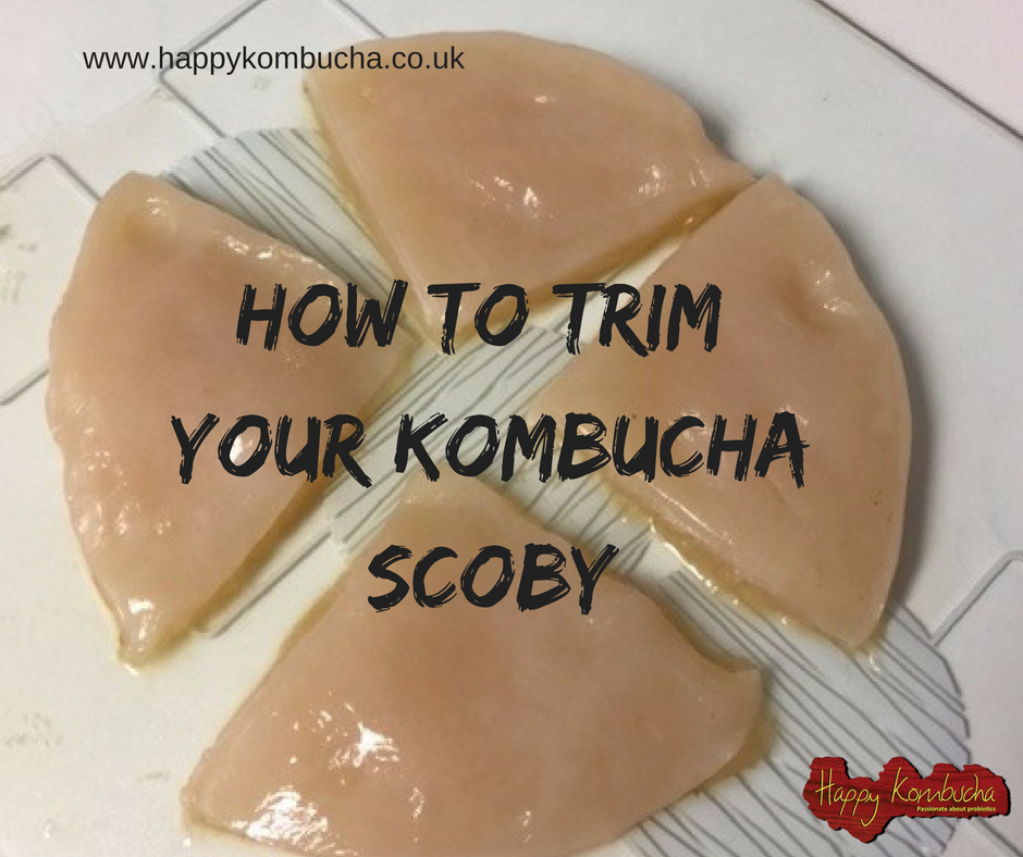 How To trim your scoby