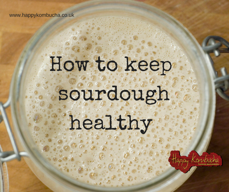 How to keep your sourdough starter healthy? Happy Kombucha