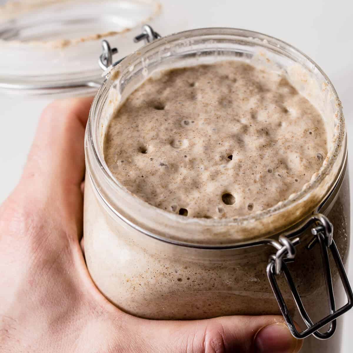 Using Rye flour in Sourdough-Happykombucha