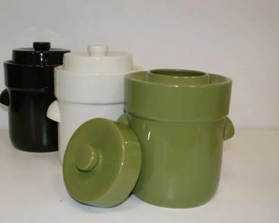 vegetable fermenters