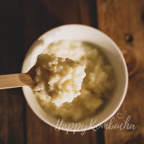 Milk Kefir Happy Kombucha