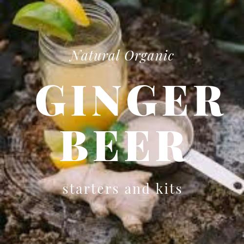 Ginger Beer starters and kits Happy Kombucha