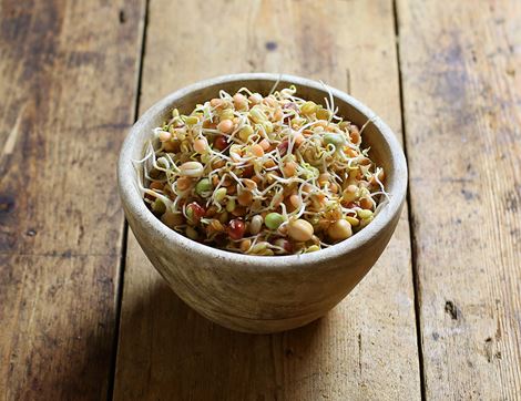 Organic Sprouting Mix 250g Happy Kombucha