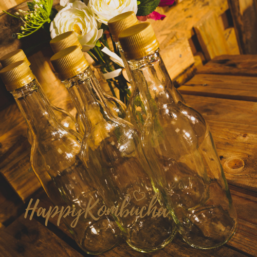 Clear Glass Fermenting Bottles 500ml – Screw Lid (Pack of 2 or 6)