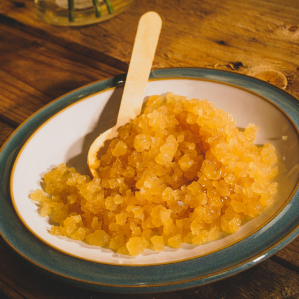 Ginger water kefir grains in bowl