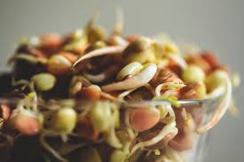 Organic Sprouting Mix 250g