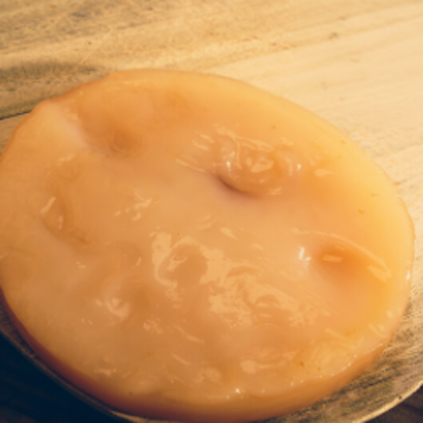 Organically Grown Kombucha SCOBY product image