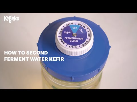 KefirKo second fermentation Jar 848ml or 1.4L size