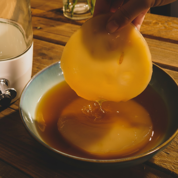SCOBY square crop product image