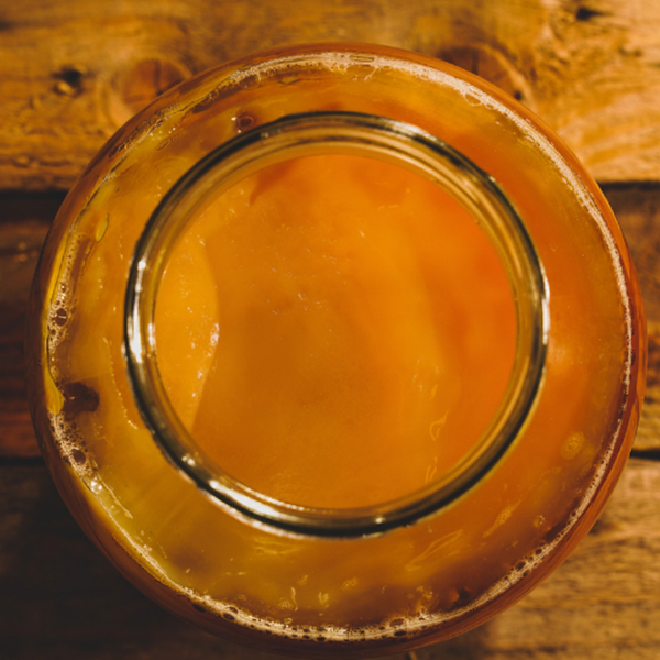 Tibetan SCOBY no text