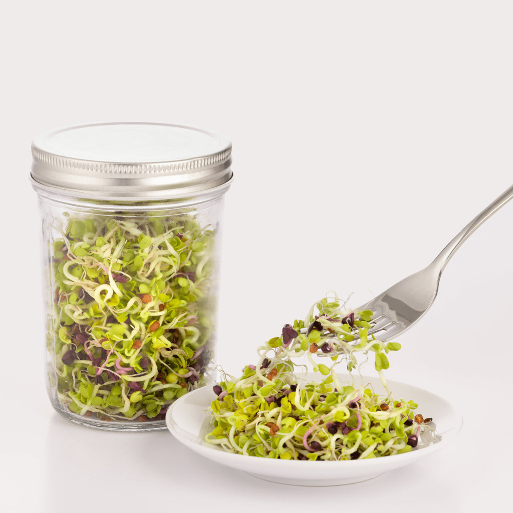 Kilner sprouting set-Sprouts in jar-happykombucha