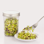 Kilner sprouting set-Sprouts in jar-happykombucha