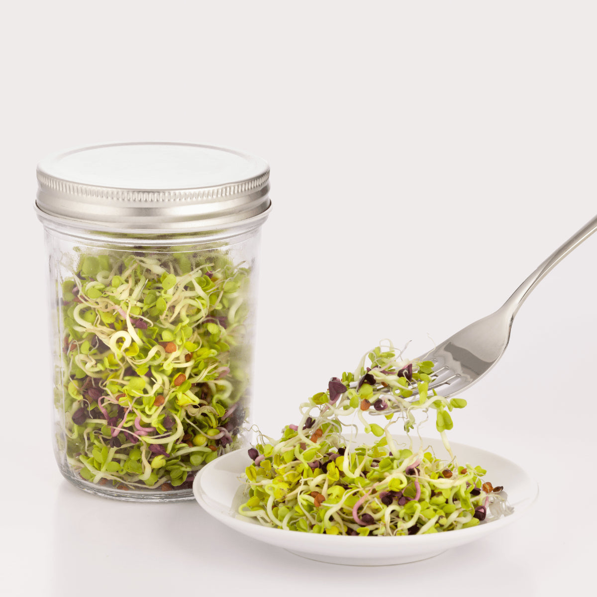 Kilner sprouting set-Sprouts in jar-happykombucha