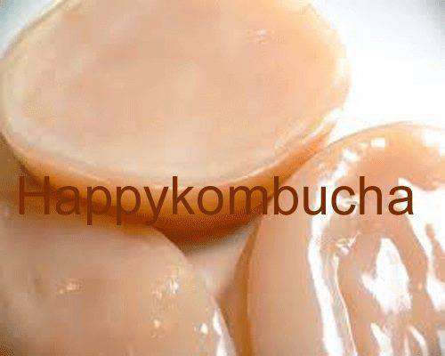 Medium Kombucha Continuous Brewing Kit freeshipping - Happy Kombucha