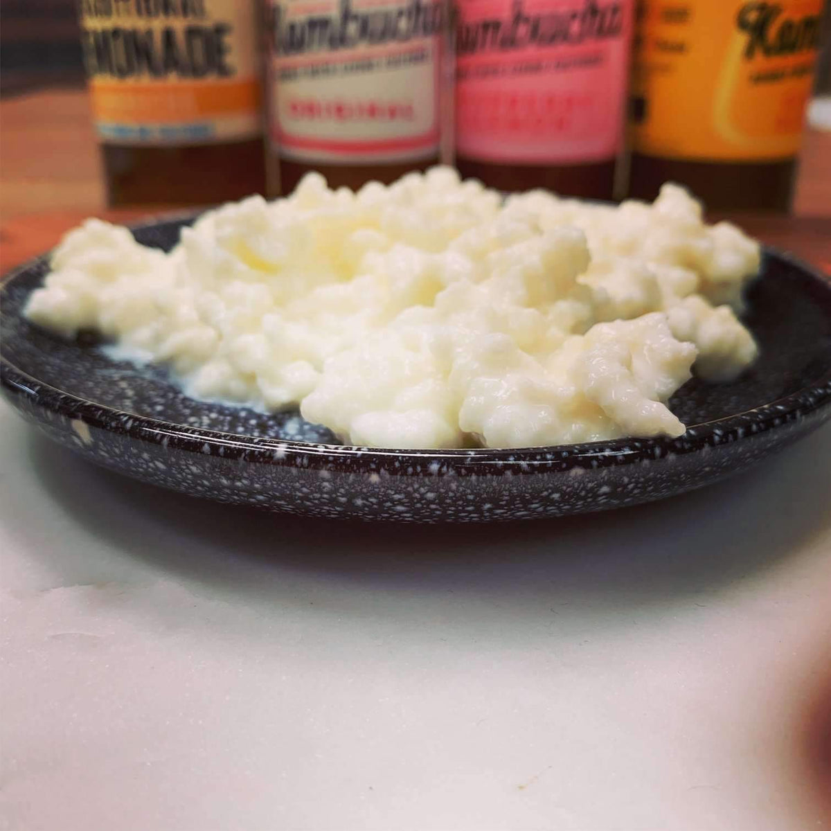 Organic Kefir Home basic Starter Kit-with Milk or Water Grains Happy Kombucha