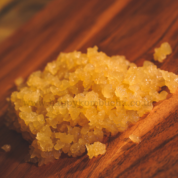 Large Sachet of Organic Live Water Kefir grains freeshipping - Happy Kombucha