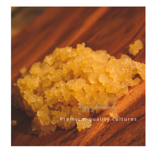 Large Sachet of Organic Live Water Kefir grains freeshipping - Happy Kombucha