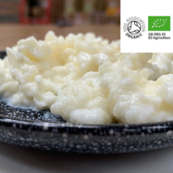 Organic Certified Premium Live Milk Kefir Grains freeshipping - Happy Kombucha