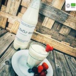 Ready made Organic Milk kefir drink freeshipping - Happy Kombucha