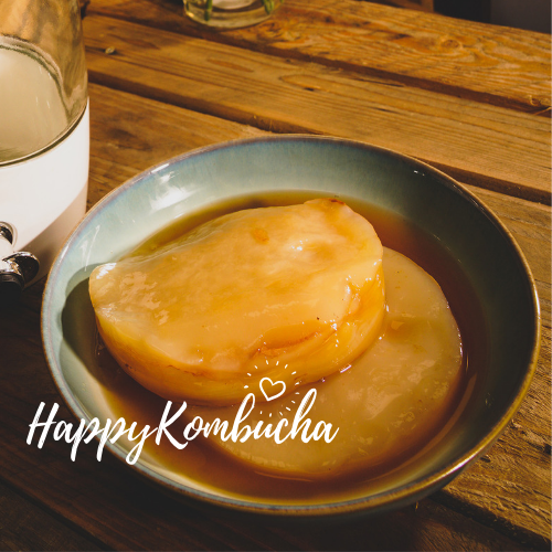 organic certified Kombucha Continuous Kombucha Kit freeshipping - Happy Kombucha