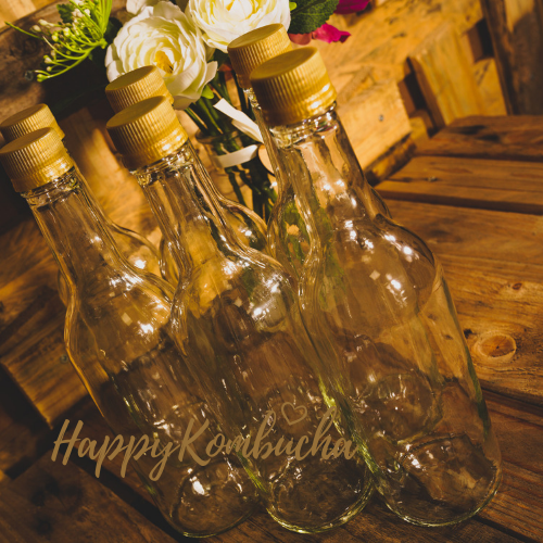 Glass 500ML Screw lid fermenting bottles (clear) freeshipping - Happy Kombucha
