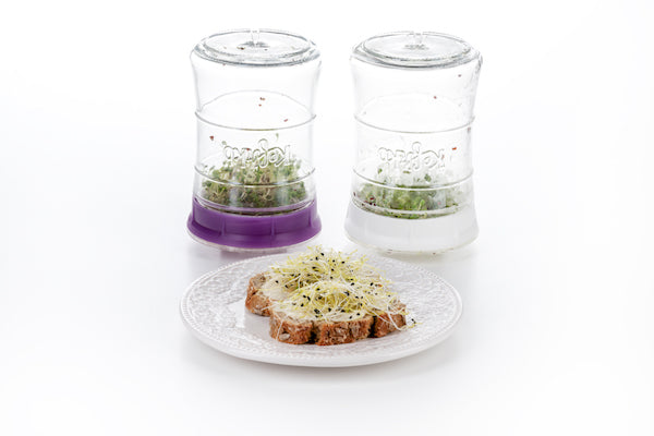 Kefirko sprouting jars-Happykombucha