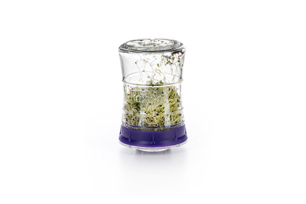 Kefirko sprouting jars-Happykombucha