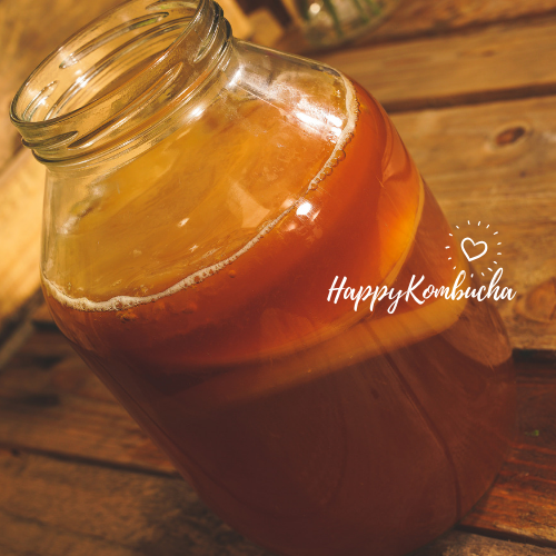 Continuous Brewing scoby pack certified Organic freeshipping - Happy Kombucha