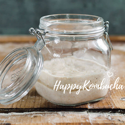 San Francisco Sourdough freeshipping - Happy Kombucha