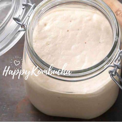 Organic White Sourdough Starter Culture freeshipping - Happy Kombucha