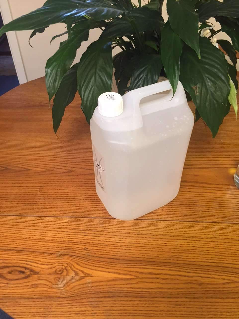 Angled side view of a translucent water container showing its handle and white cap beside a leafy plant
