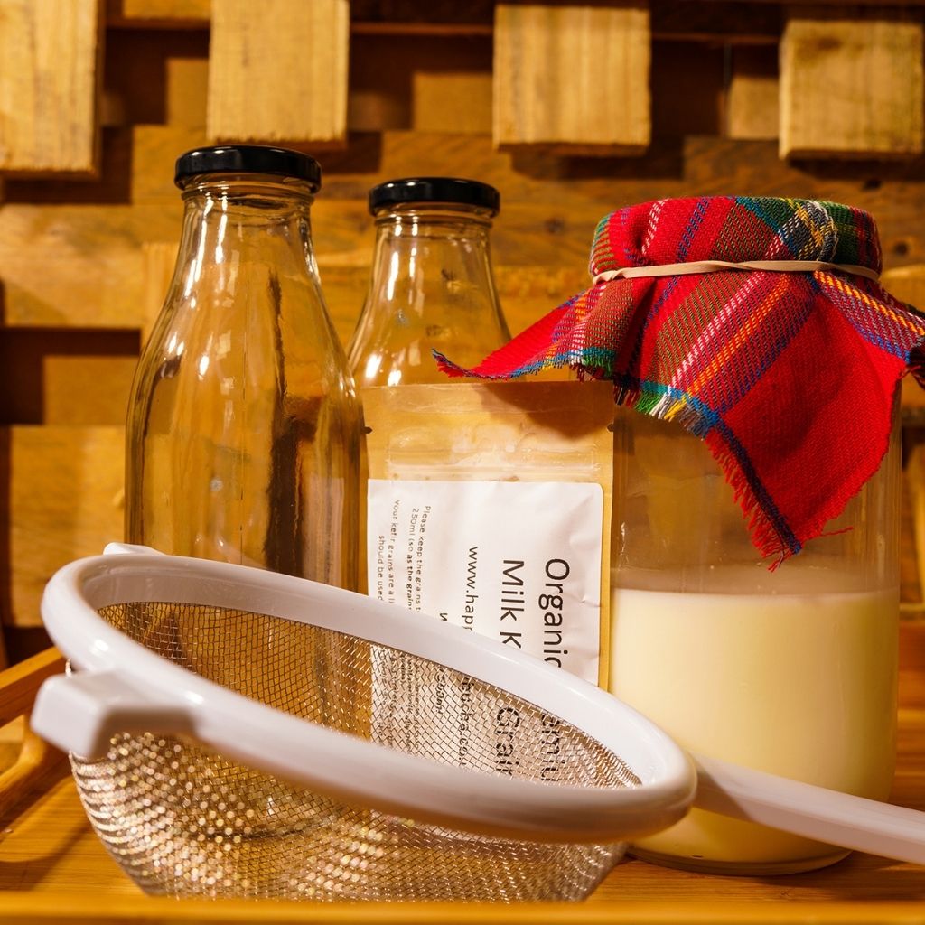 Organic Complete Home Starter Kit freeshipping - Happy Kombucha