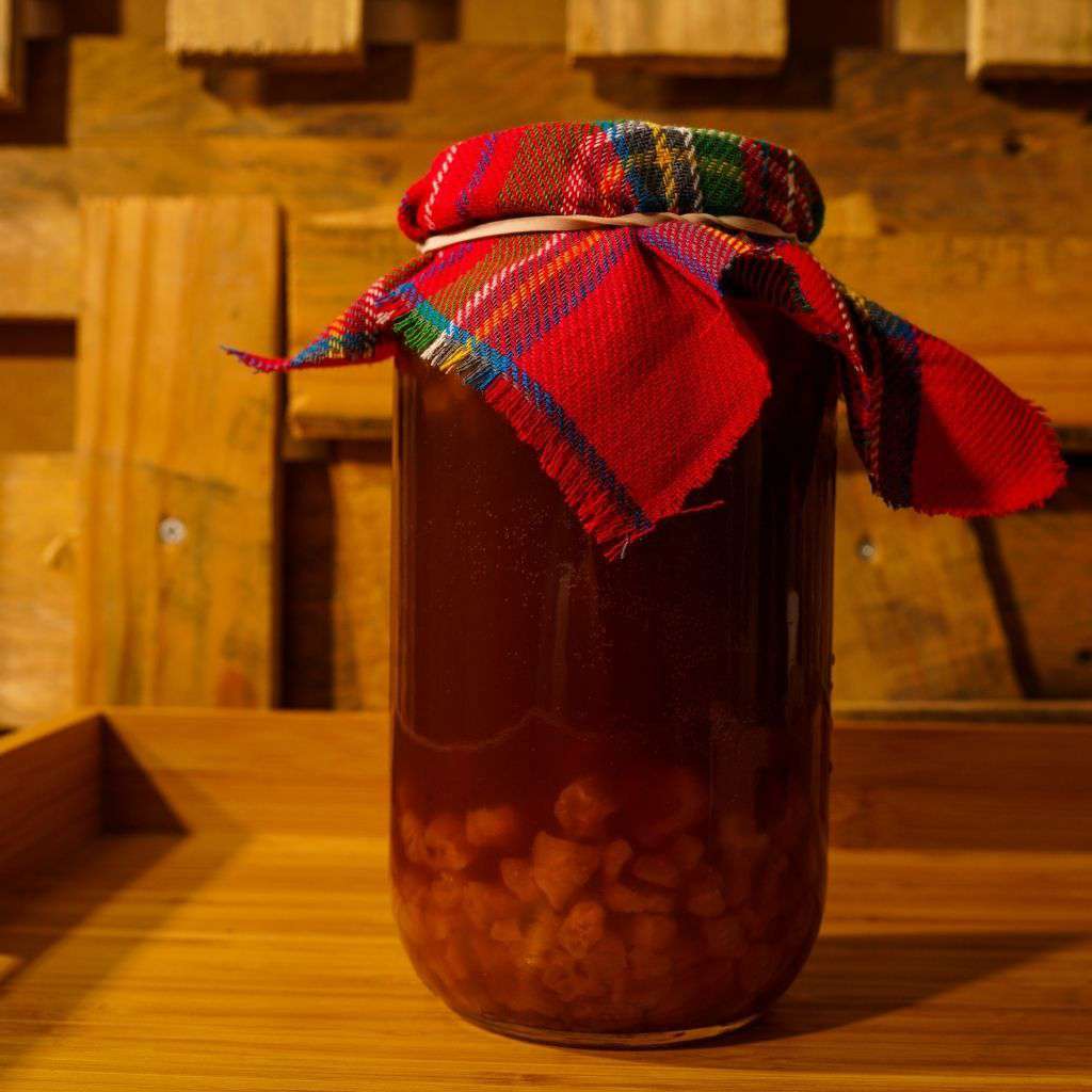 Organic Complete Home Starter Kit freeshipping - Happy Kombucha