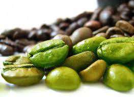 Green Coffee Bean Extract freeshipping - Happy Kombucha