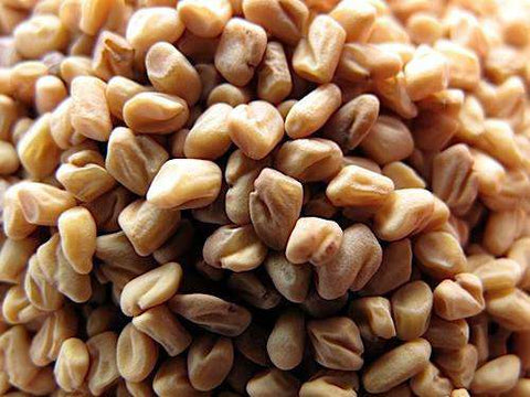 ORGANIC SPROUTING SEEDS - FENUGREEK freeshipping - Happy Kombucha