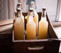 Ginger Beer plant/paste (probiotic) freeshipping - Happy Kombucha