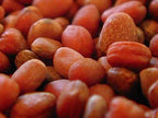 Biosnacky little radish seeds 40g freeshipping - Happy Kombucha