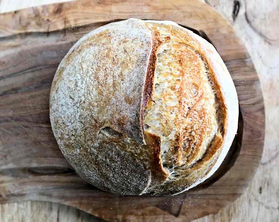 San Francisco Sourdough freeshipping - Happy Kombucha