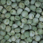 Snow Pea Seed 500g - Organic freeshipping - Happy Kombucha
