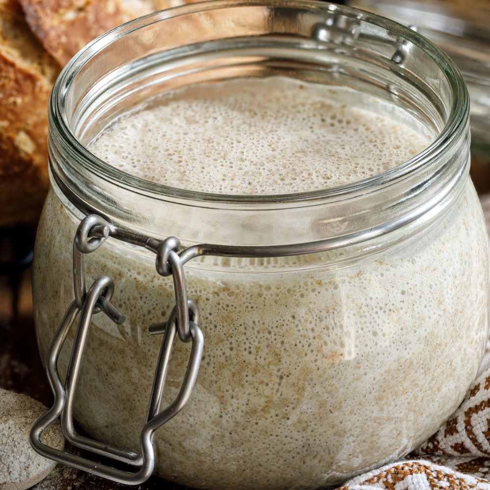 Organic Sourdough Starter Kit- Dehydrated starter Happy Kombucha